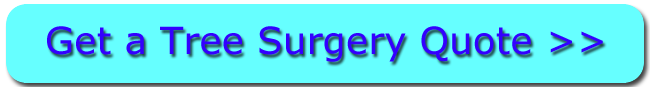 Click For Haslington Tree Surgery Quotes