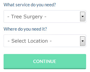 Tree Surgeon Quotes Stafford Staffordshire (01785)