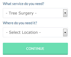 Tree Surgeon Quotes Viewpark Scotland (Dialling code	01698)