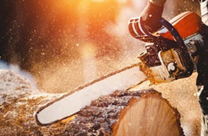 Chainsaws Chainsaws