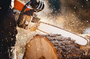 Chainsaws Chainsaws