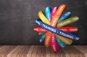 Tree Surgery Courses Abergele Tree Surgery Apprenticeships - Courses - Training Abergele