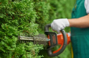 Hedge Trimming Esher