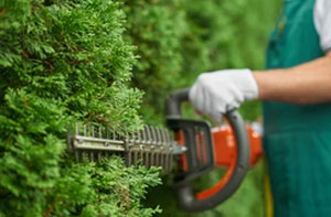 Hedge Trimming Knebworth