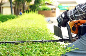 Hedge Trimming Irlam