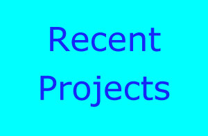 Dalkeith Tree Surgery Projects