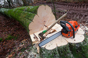 Tree Removal Uppermill