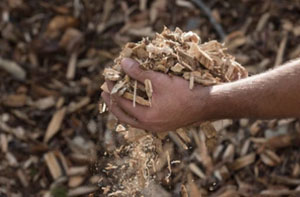 Wood Chipping Dawlish