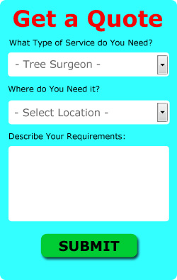 Thatcham Tree Surgeon Quotes (RG18)